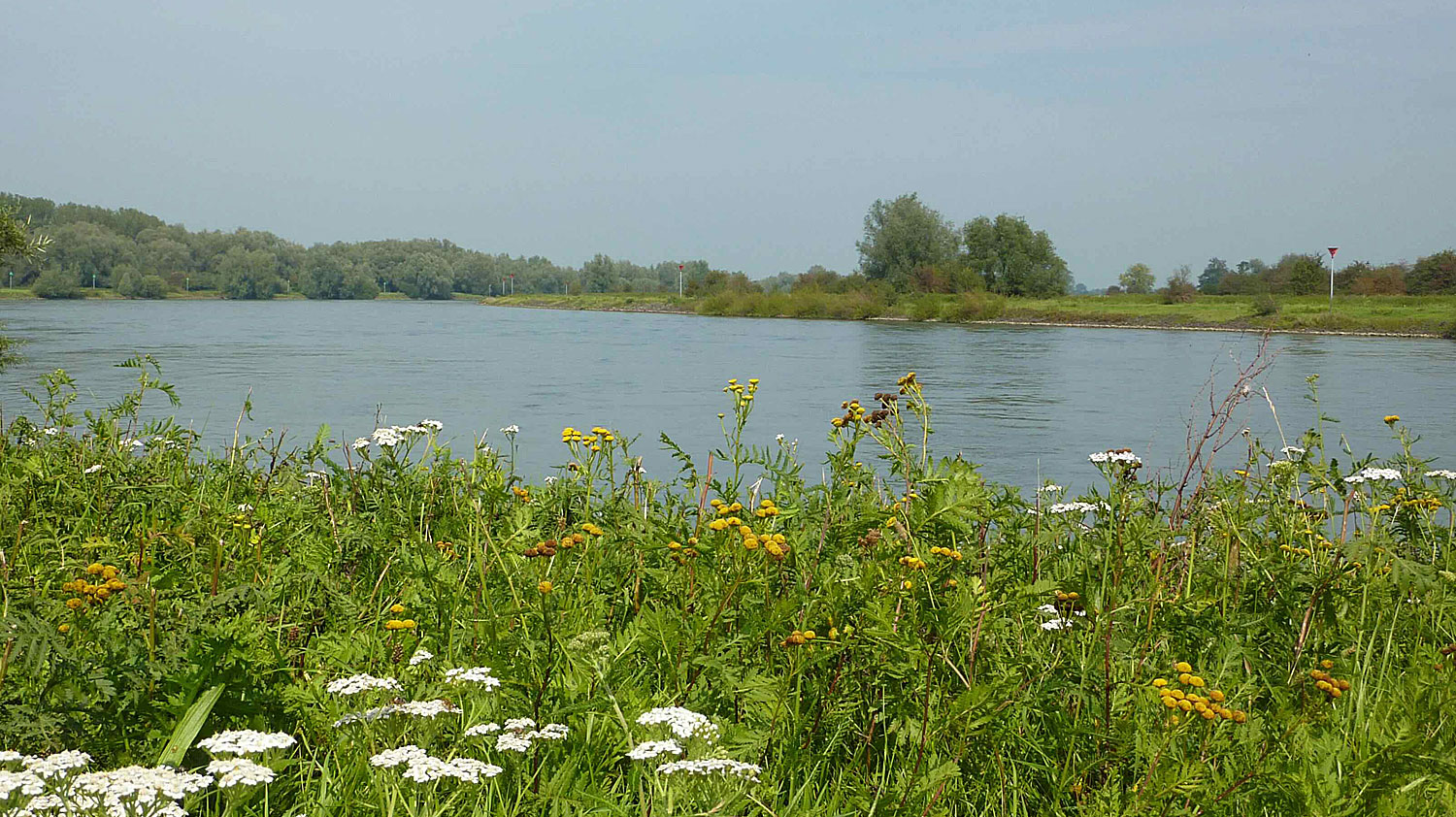 De omgeving van Gastenverblijf de Oude Smederij