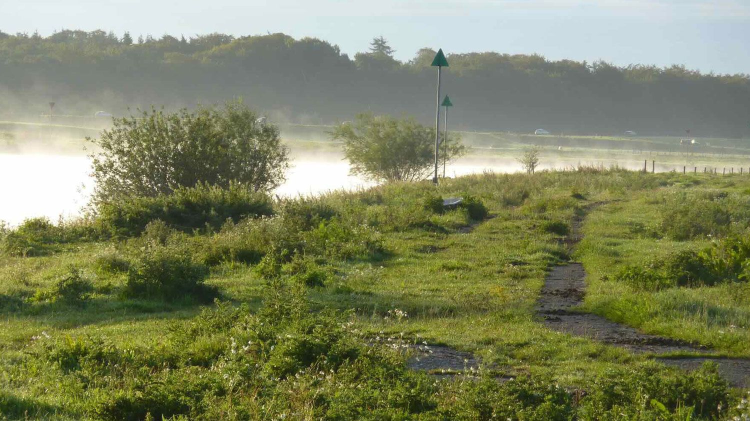 De Oude Smederij B&B in Welsum met haar IJssel