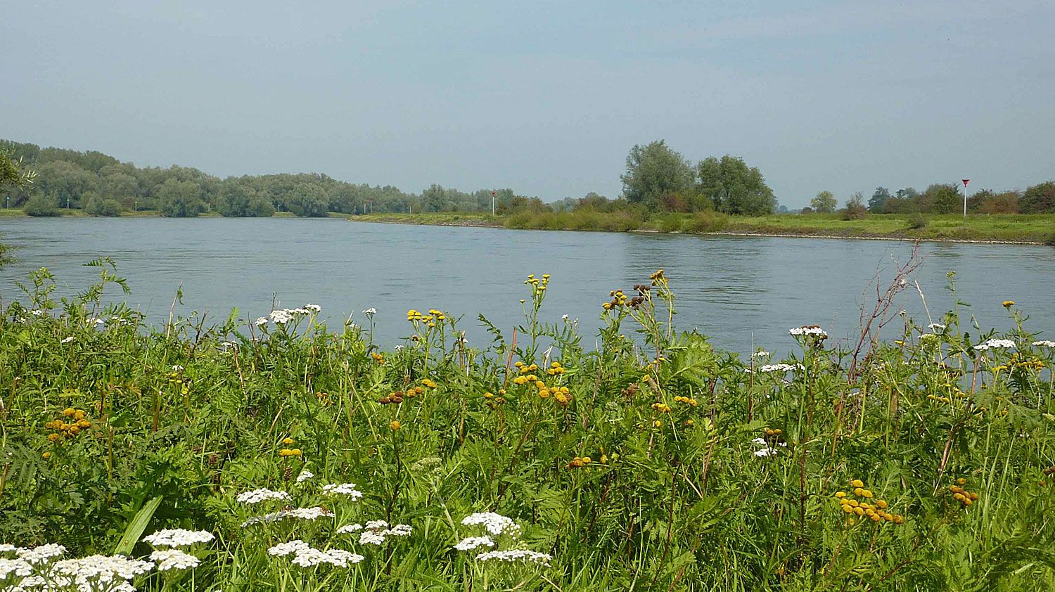 De omgeving van Gastenverblijf de Oude Smederij
