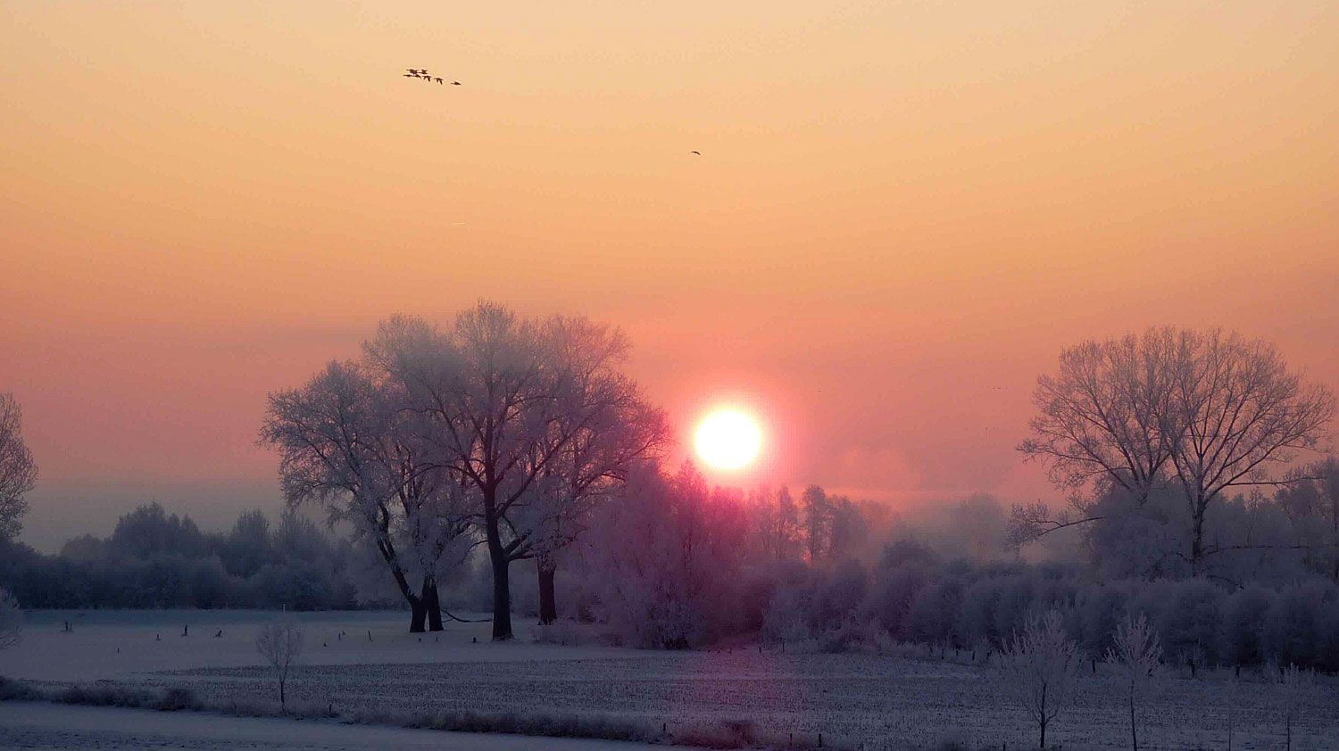 De omgeving van B&B 'de Oude Smederij' is prachtig