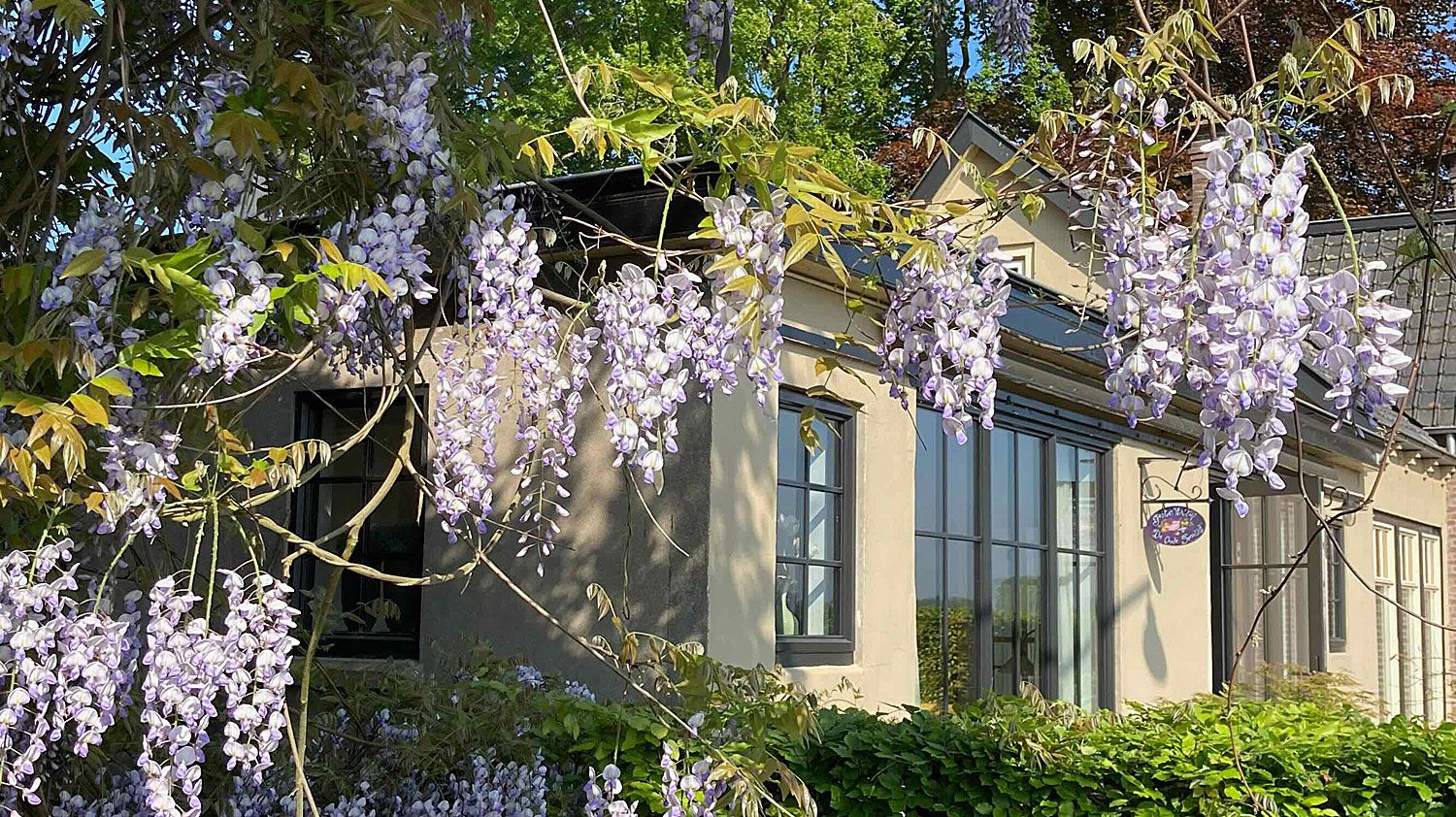 Welkom bij B&B 'de Oude Smederij'