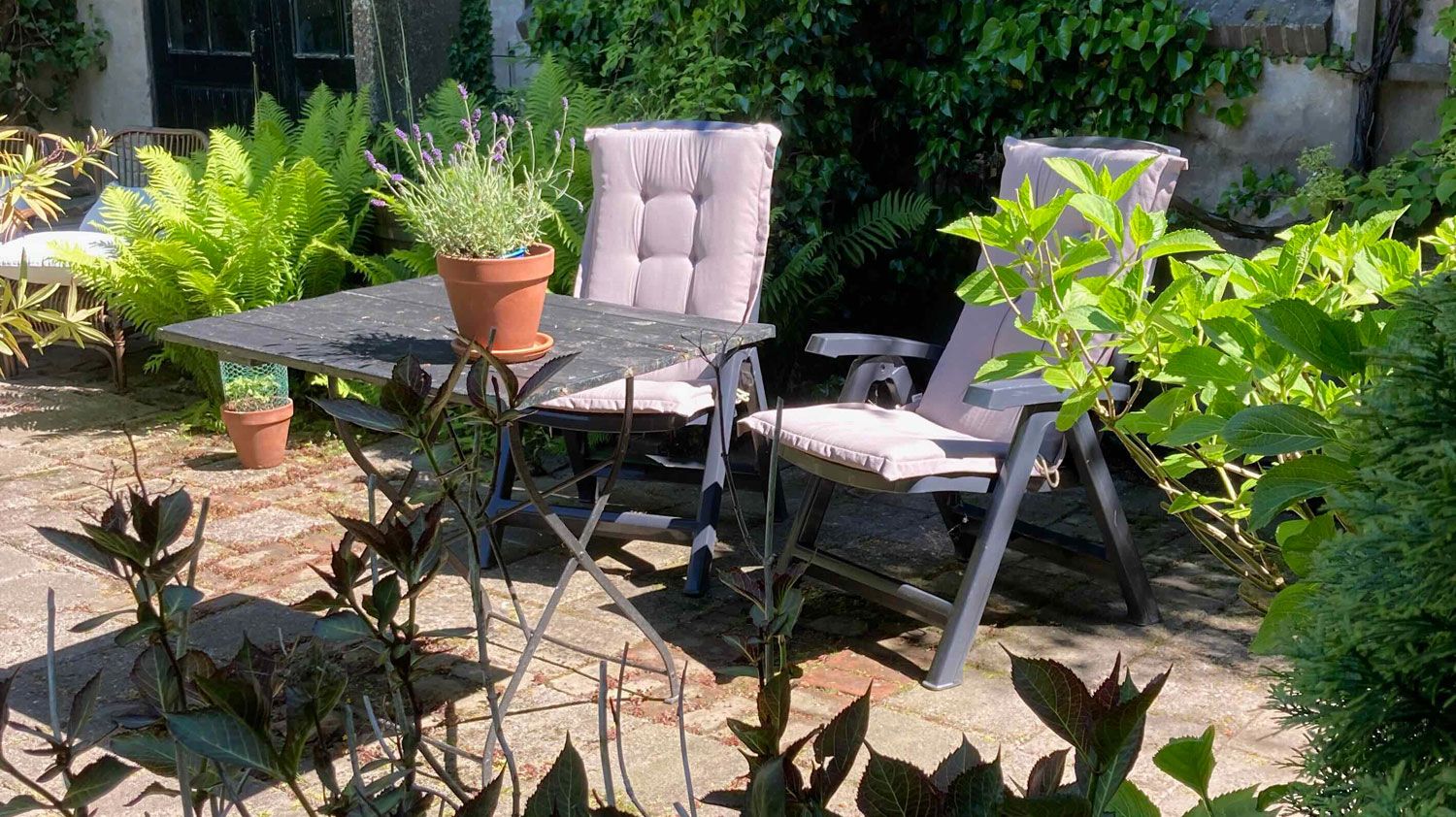 Een heerlijke prive buitenplaats biedt u alle rust bij de B&B Oude Smederij in Welsum