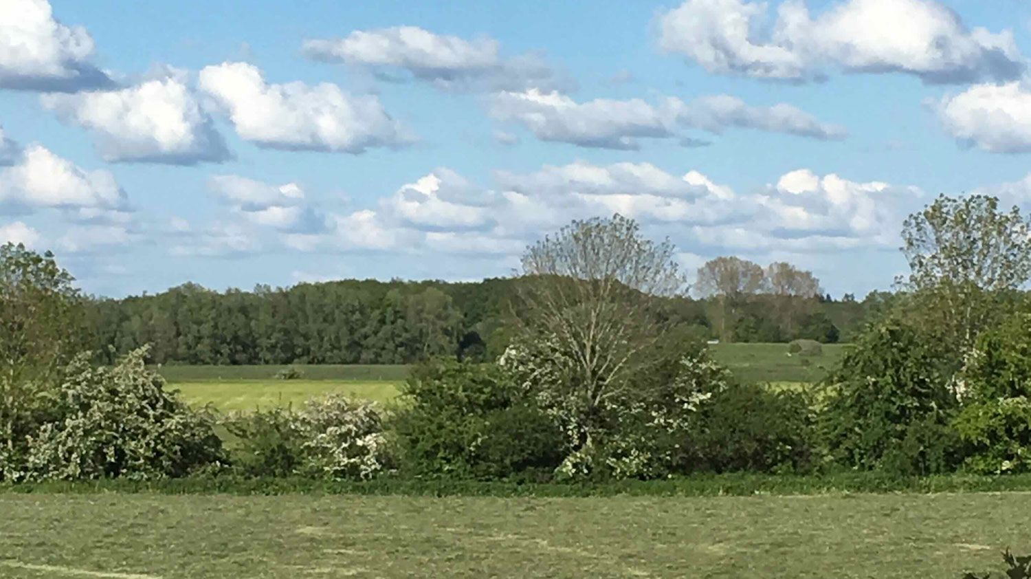 Genieten van de natuur rond Gastenverblijf de Oude Smederij